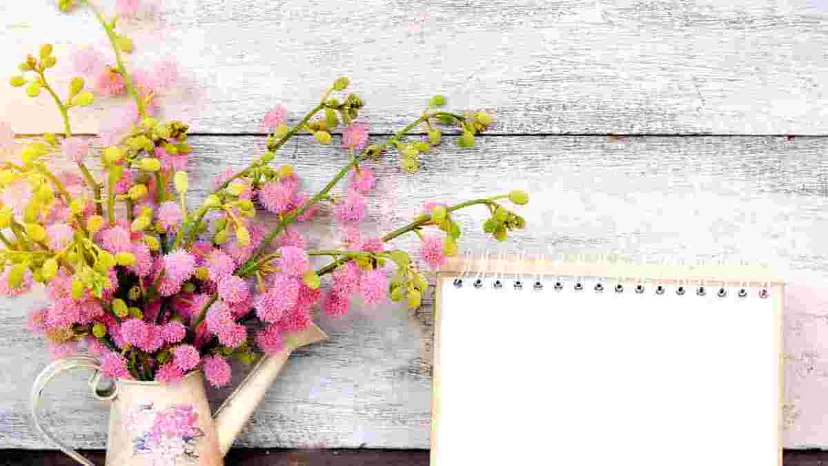 カレンダーとピンクの花